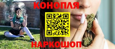 круглые Кингисепп