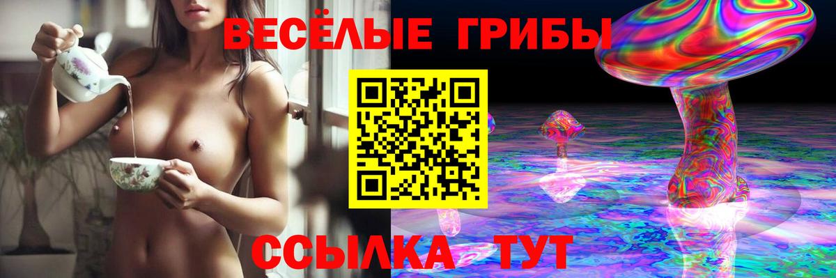 Биробиджан  Псилоцибиновые грибы Psilocybe  Галлюциногенные грибы Cubensis  Вход с VPN 