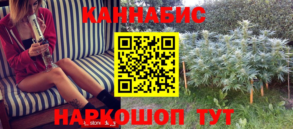 Каннабис OG Kush Биробиджан